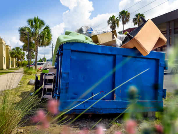 Debris Removal in Barneveld, WI